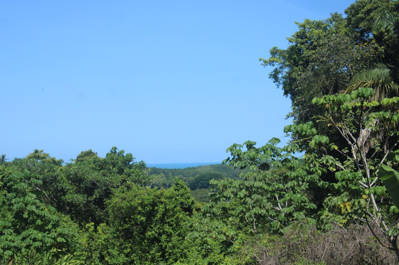 Income Producing Property with Ocean View close to Dominical