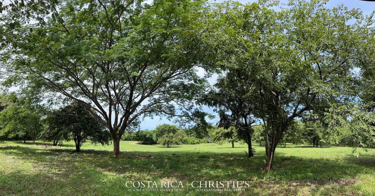 Playa Avellanas Finca Shambala - Development Parcel