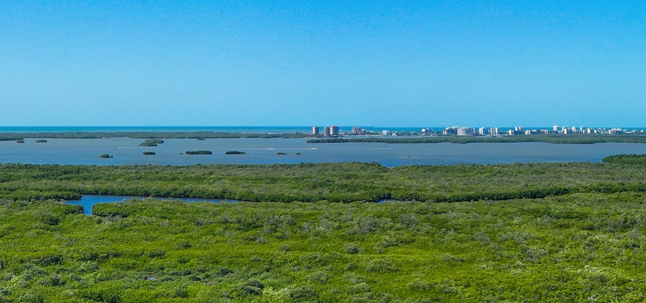 The Island at West Bay Residences