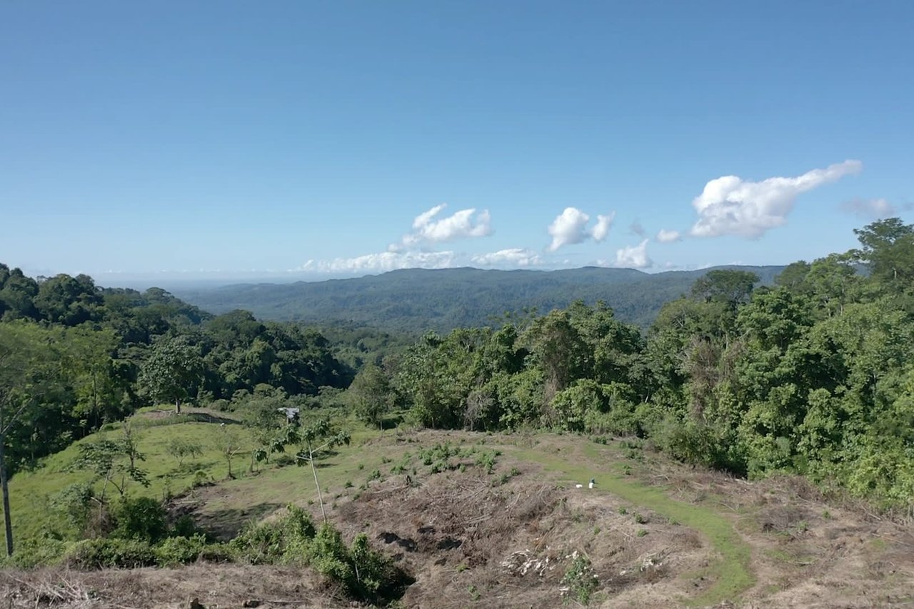 90 acre Farm, Inexpensive with lots of potential close to Rio Claro