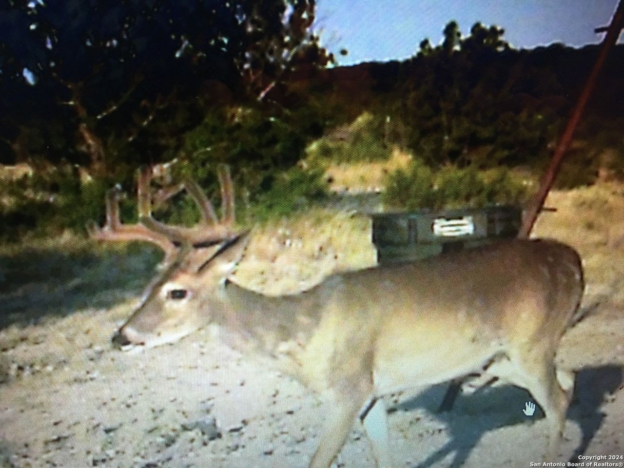 000 Ward Ranch Rd