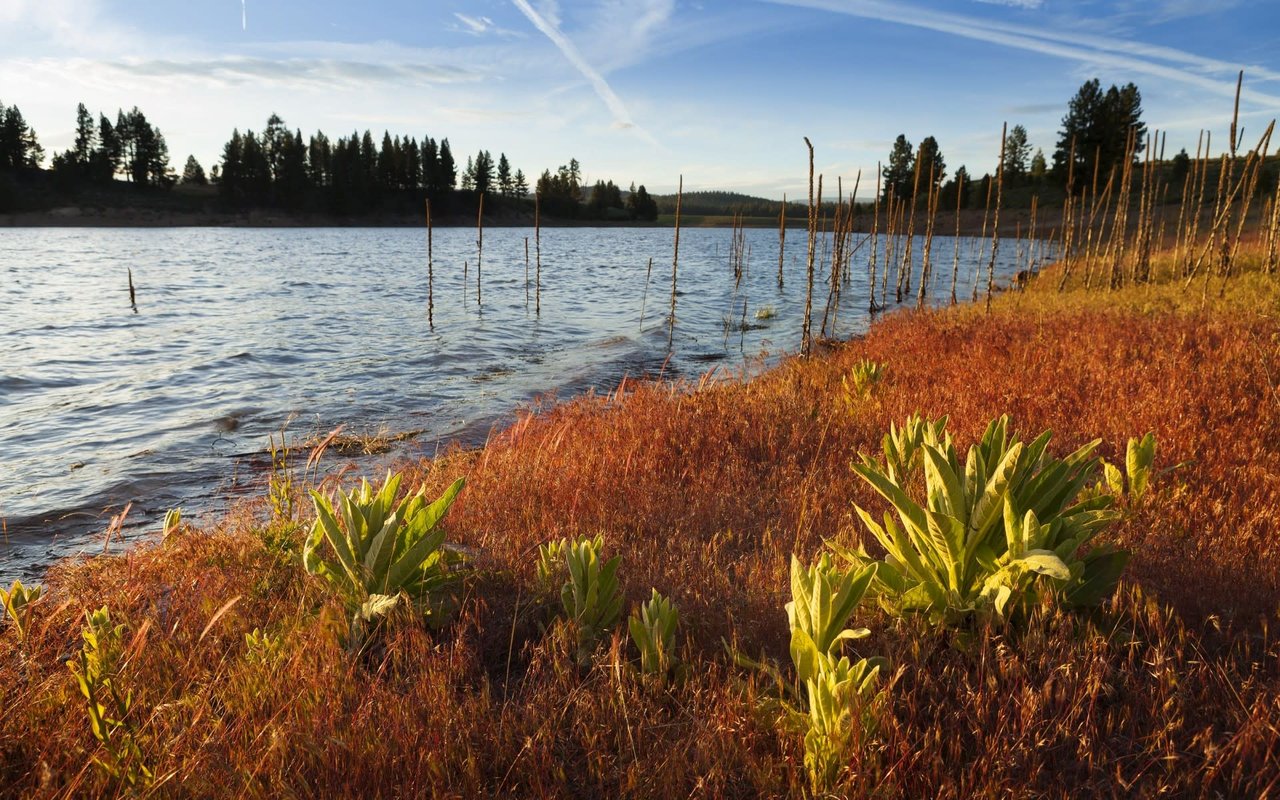 Prosser Lake