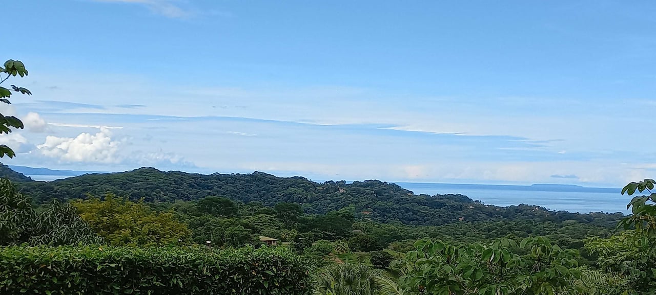 Elegant Estate with Ocean & Jungle Views