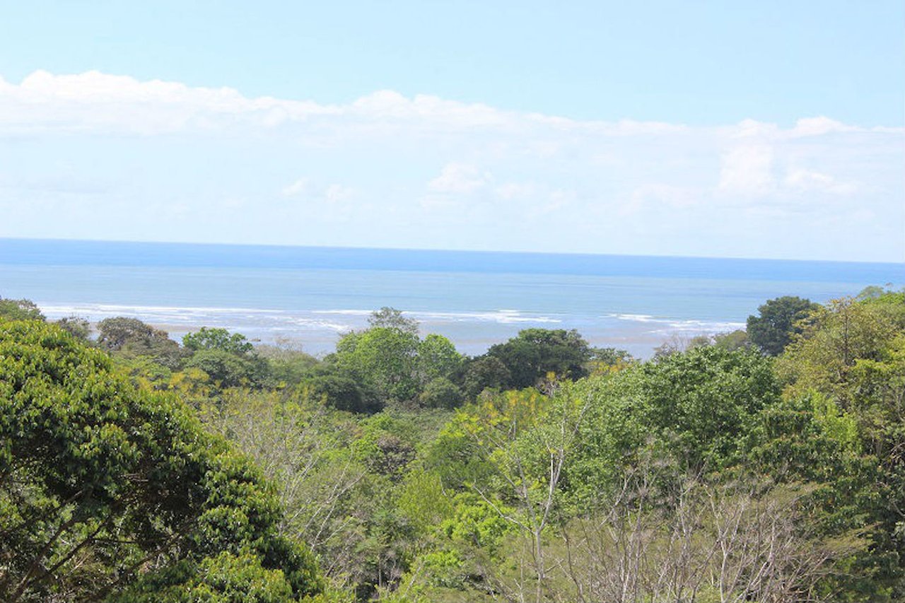 Ocean View Restaurant and Home, Ojochal, Puntarenas