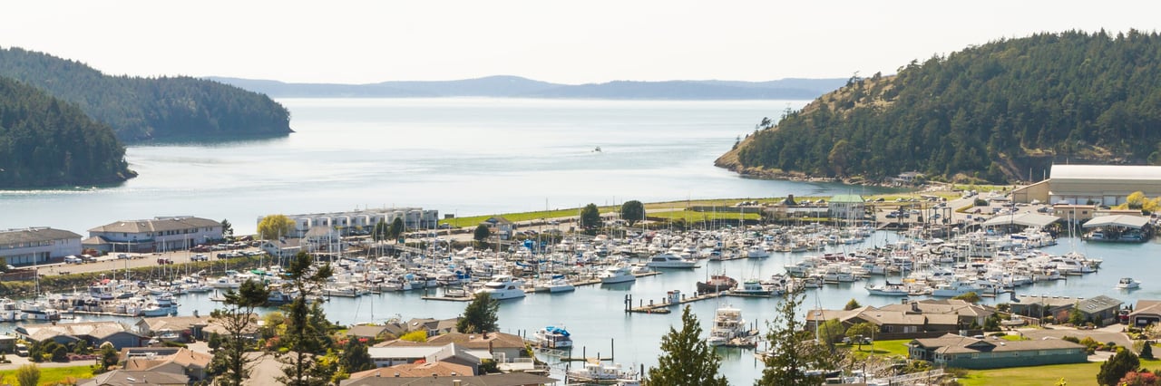 A harbor with a lot of boats docked in it. The harbor is surrounded by houses and trees, and there is a large body of water in the background