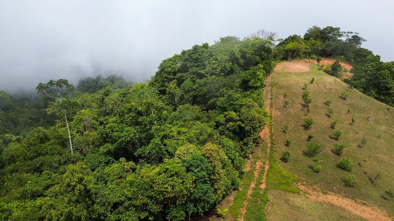 Ocean, Mountain and waterfall View Lot