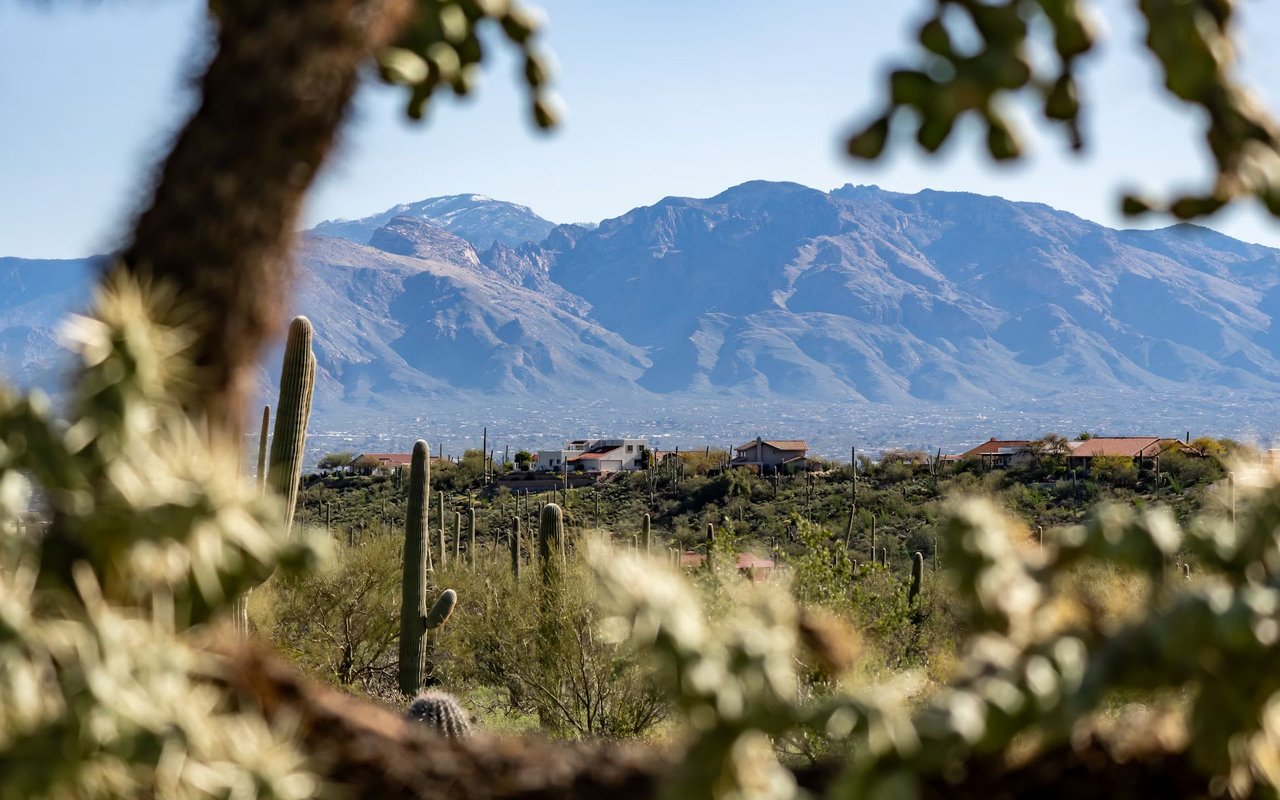 A Guide to Tucson, AZ Parks