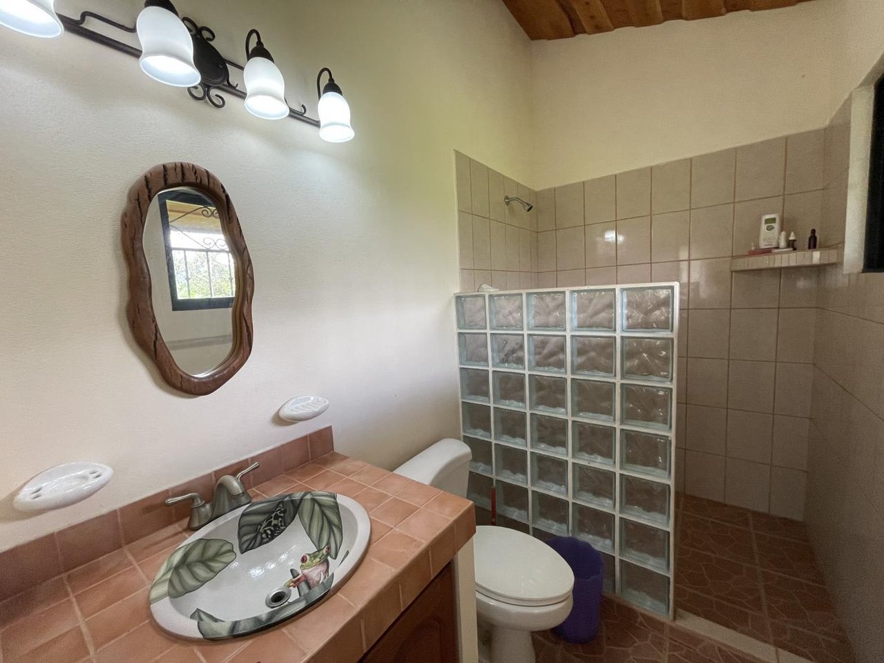 5.2 Acres, 2 Bedroom Home With 60 Ft Infinity Lap Pool, 1 Bedroom Guest House, Ocean View!
