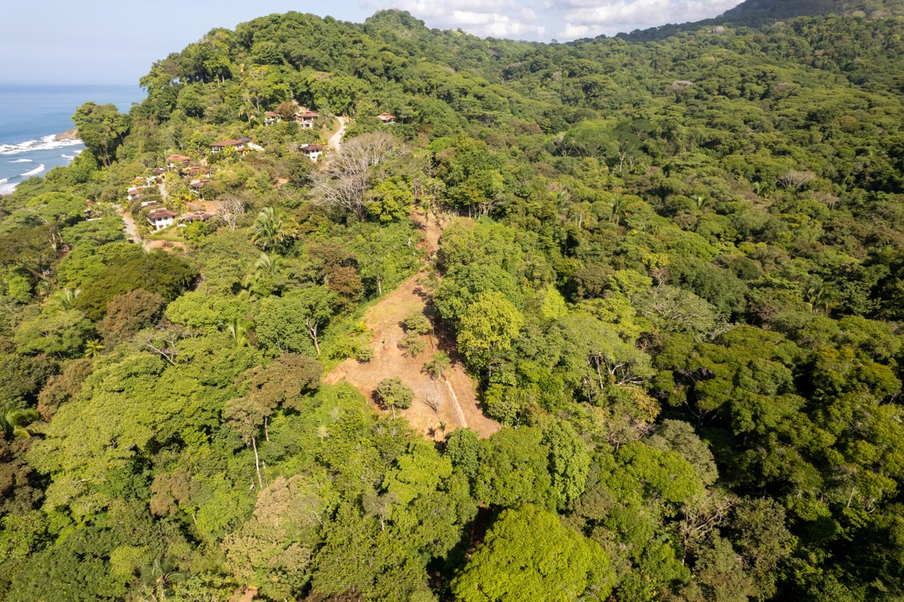 Prime Coastal Development Land, Dominical, Puntarenas