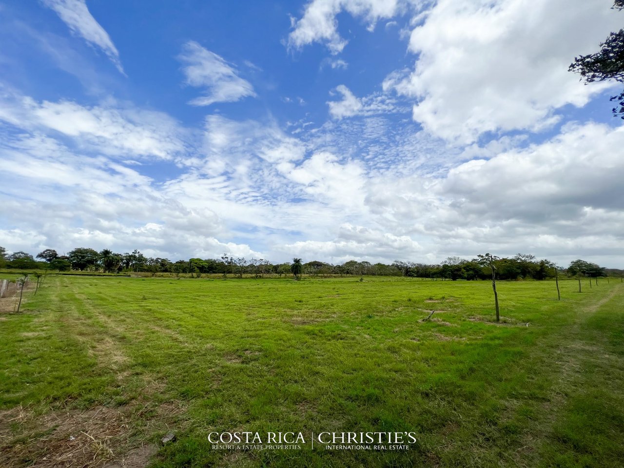 Finca Marsellesa