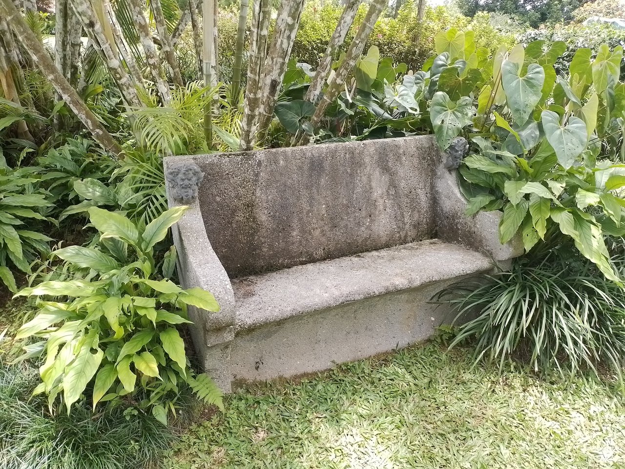 Coffee Farm Hacienda Estate, Perez Zeledon, San Jose