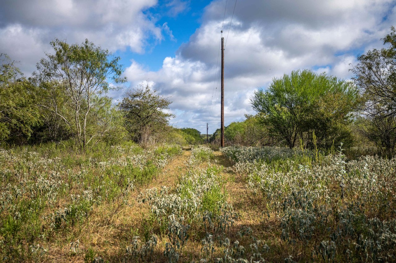 The Poco Loco | 278± Acres | DeWitt County