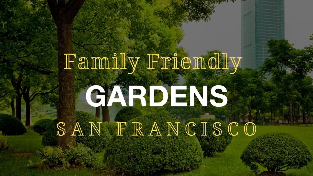 Family-Friendly Gardens in San Francisco