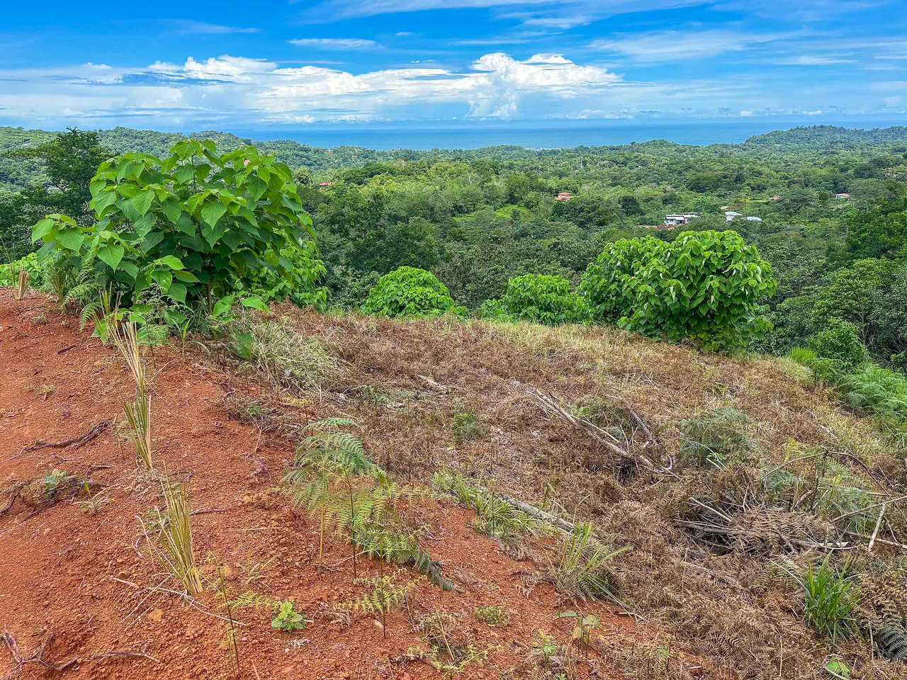 5 Acre Lot With A Sweeping Ocean And Sunset View, Ojochal Phase 9. LEGAL WATER!