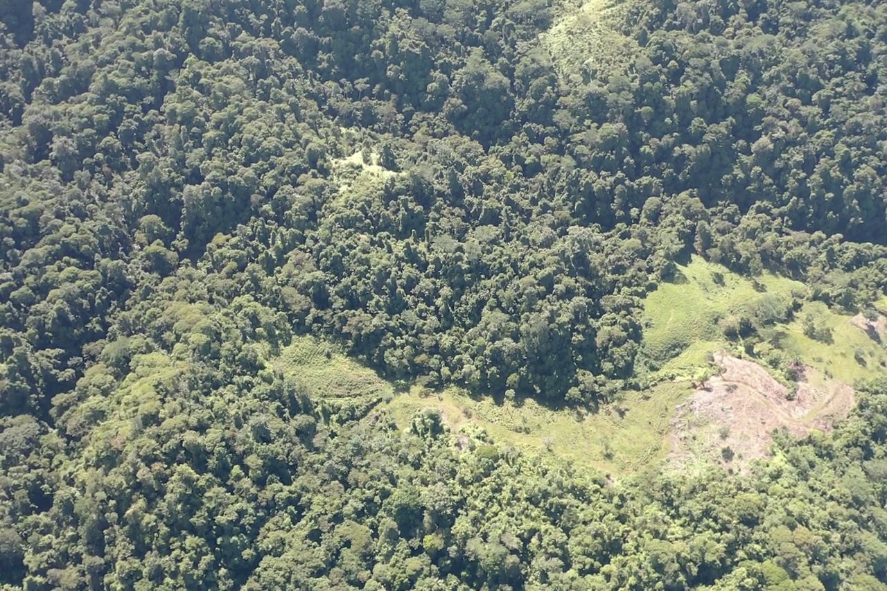 90 acre Farm, Inexpensive with lots of potential close to Rio Claro