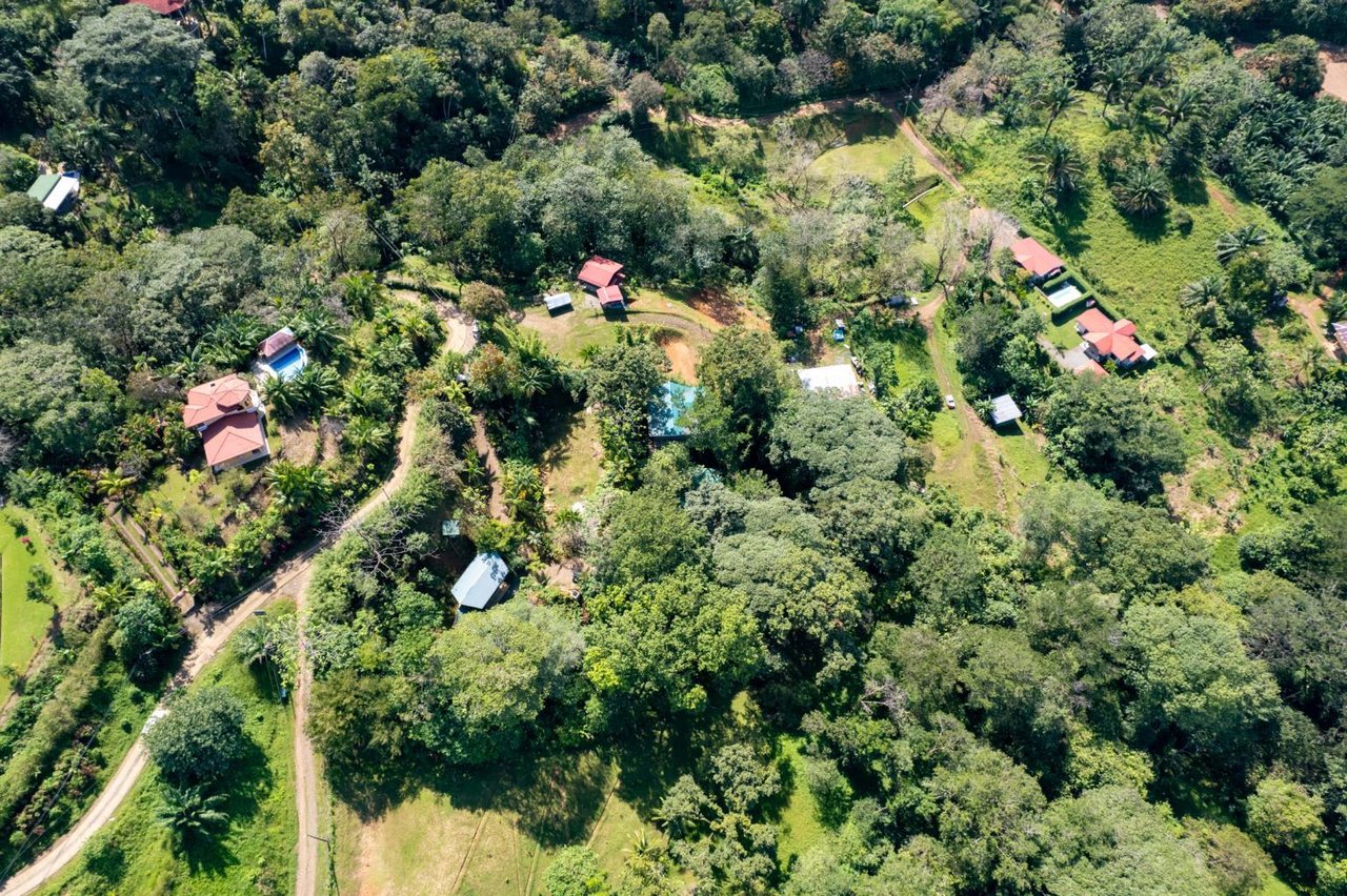 5 Bedroom Single Family Homes