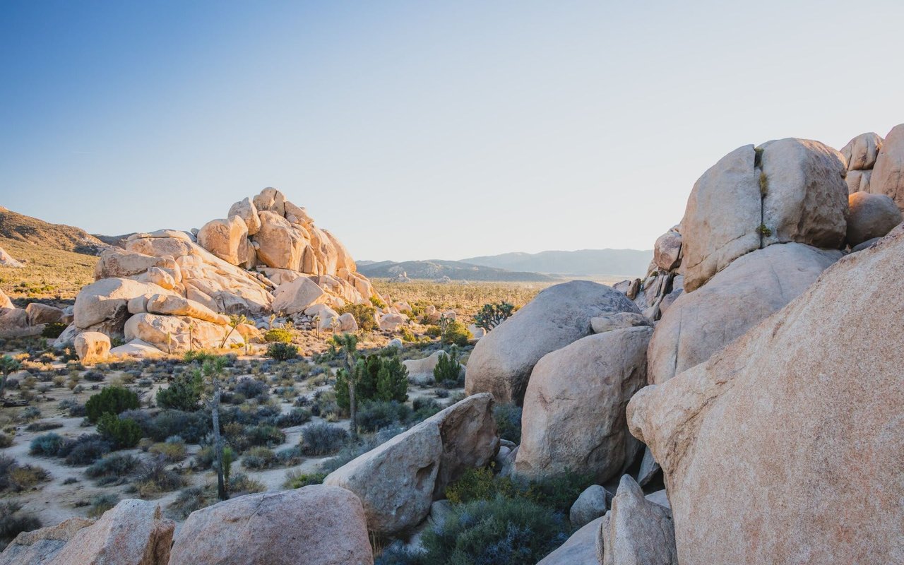 Best Places to Live in Mesa Arizona