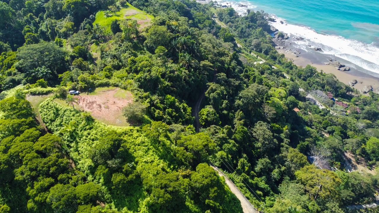 MANGO MANOR RIDGE PREMIER OCEAN VIEW PROPERTY IN DOMINICAL