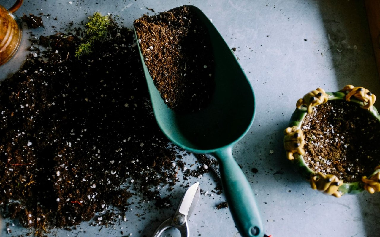 The Role of Landscaping in Boosting Your Home's Aesthetic Appeal