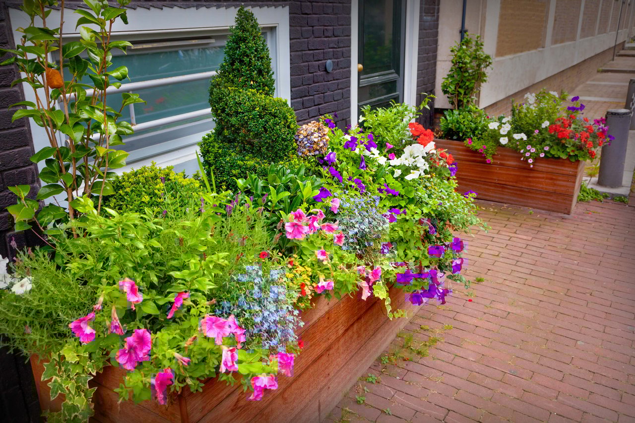 Chicago City Gardening Tips for Spring