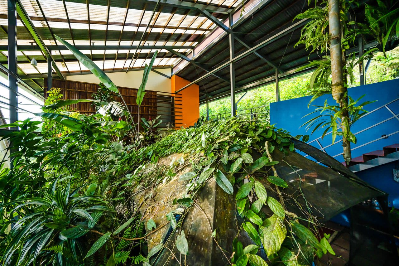 Celeste Mountain Lodge | Mountain Hotel/Resort/Hostel For Sale!