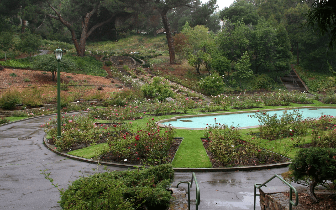 Things to Do in Piedmont CA