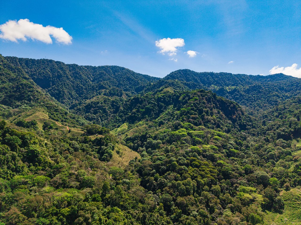 Luxury Waterfall Farm, Uvita, Puntarenas
