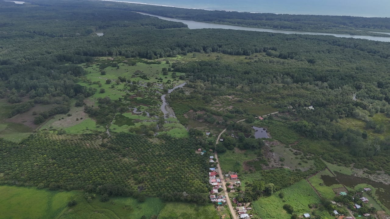 Fire Sale – Over 12 Acres of Land with Public Road Frontage Near Ojochal