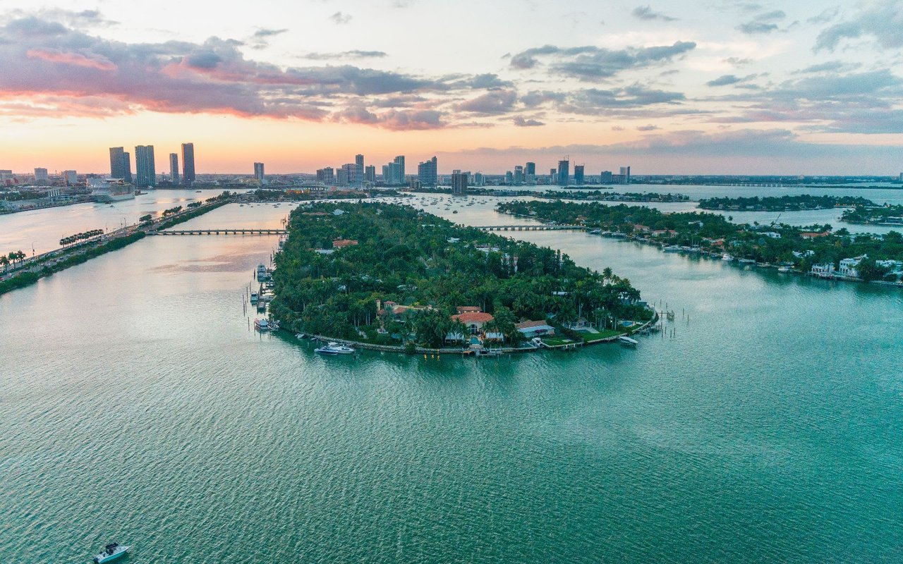 Palm and Hibiscus Island