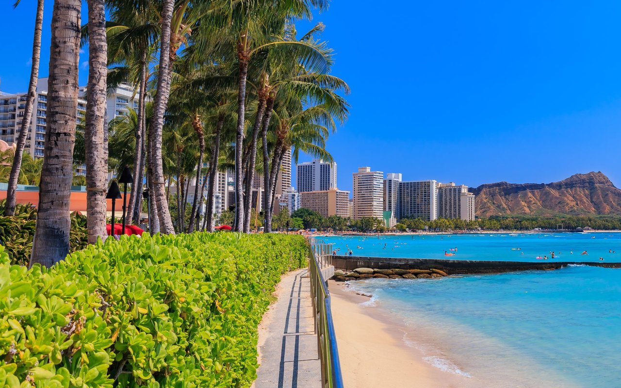 Fun Facts on Aloha Friday