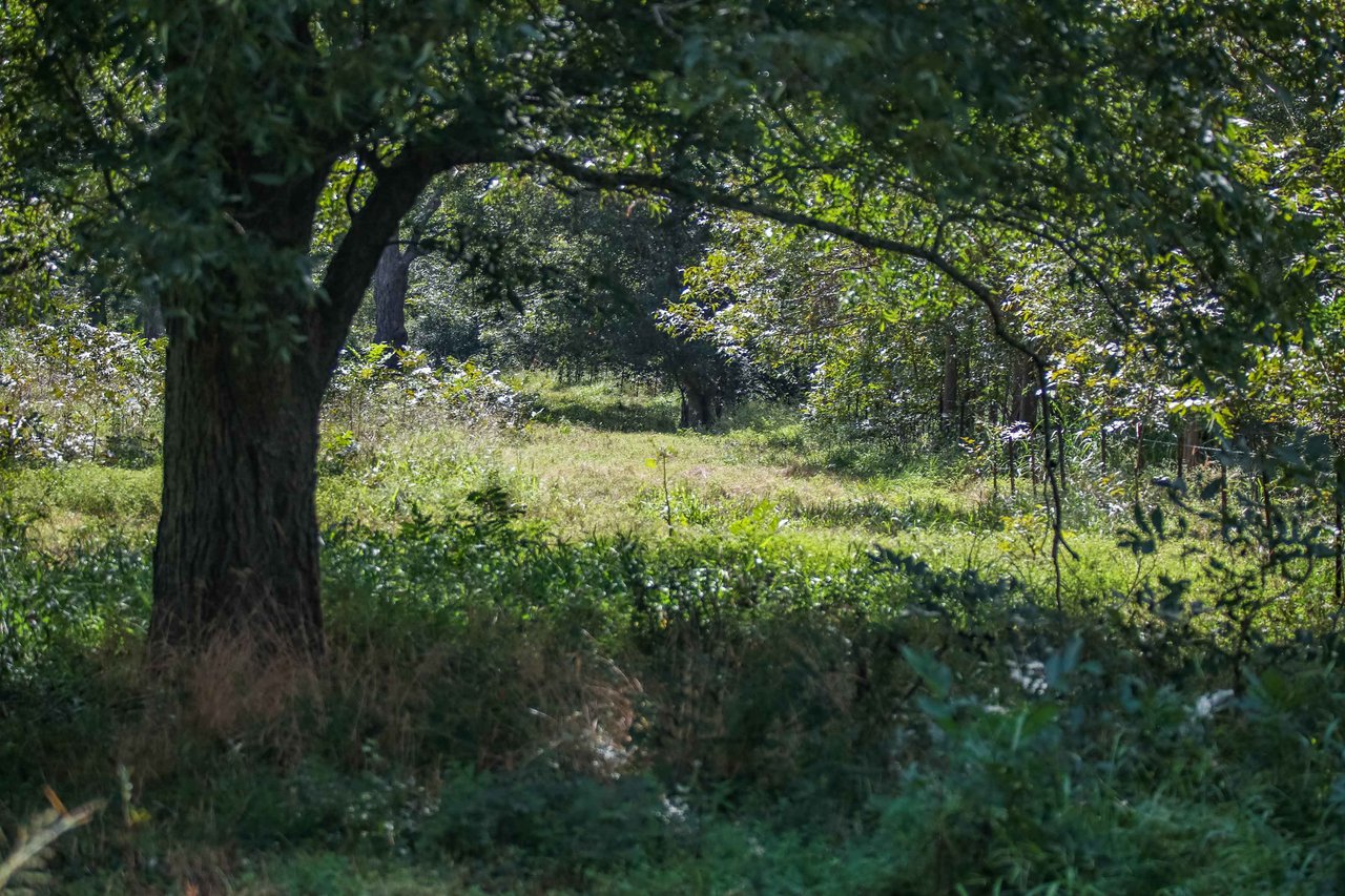 Lovers Lane River Ranch | 140± Acres | DeWitt County