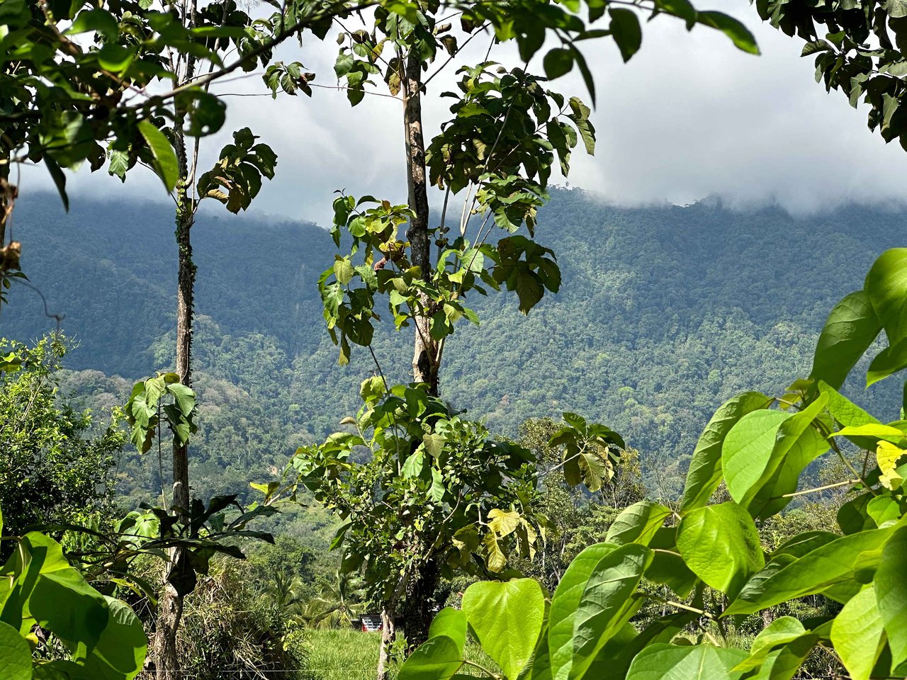Over 3 Acres, Mountain View Lot in the Heart of Ojochal, Ready for Development!.