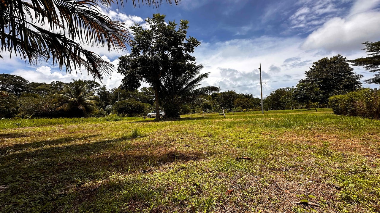Beach Area Lot in Quiet Corner on Uvita Bahia