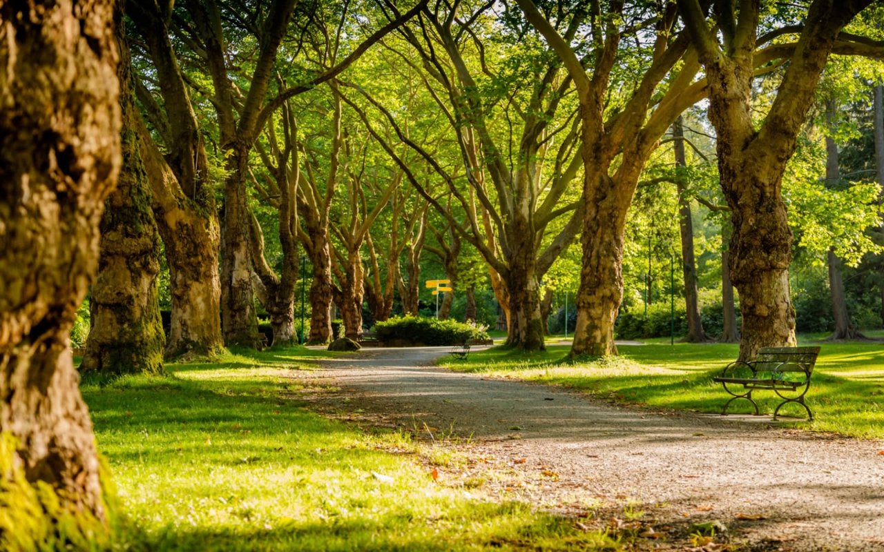 A Guide to Ventura, CA Parks