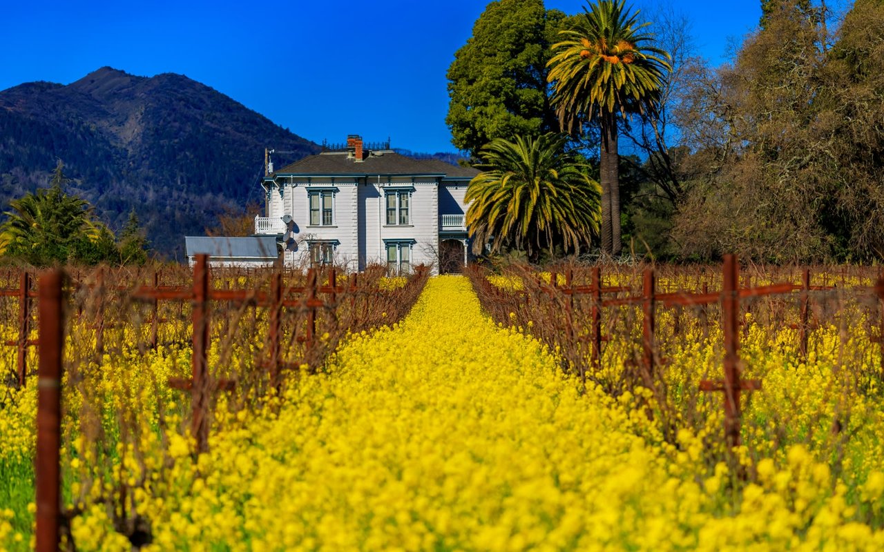 Luxury Living in Yountville