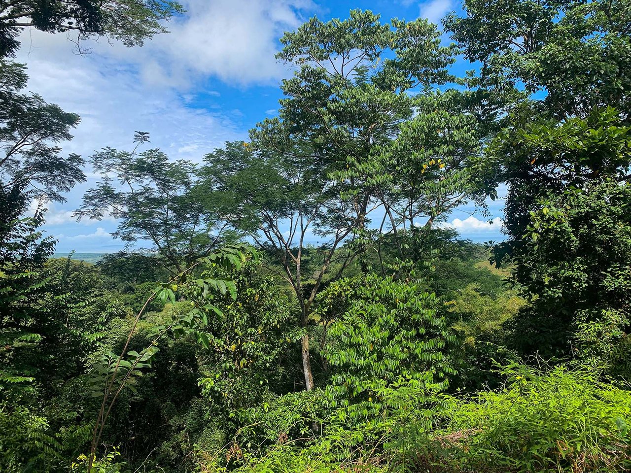 Farm In Chontales, 47 Acres With Ocean View And River
