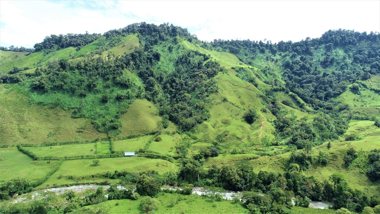 Riverfront Forest Farm, Perez Zeledon, San Jose