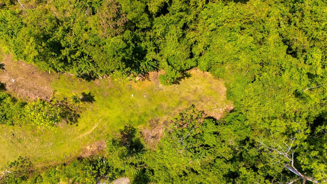Ocean View Jungle Homesite, Ojochal, Puntarenas