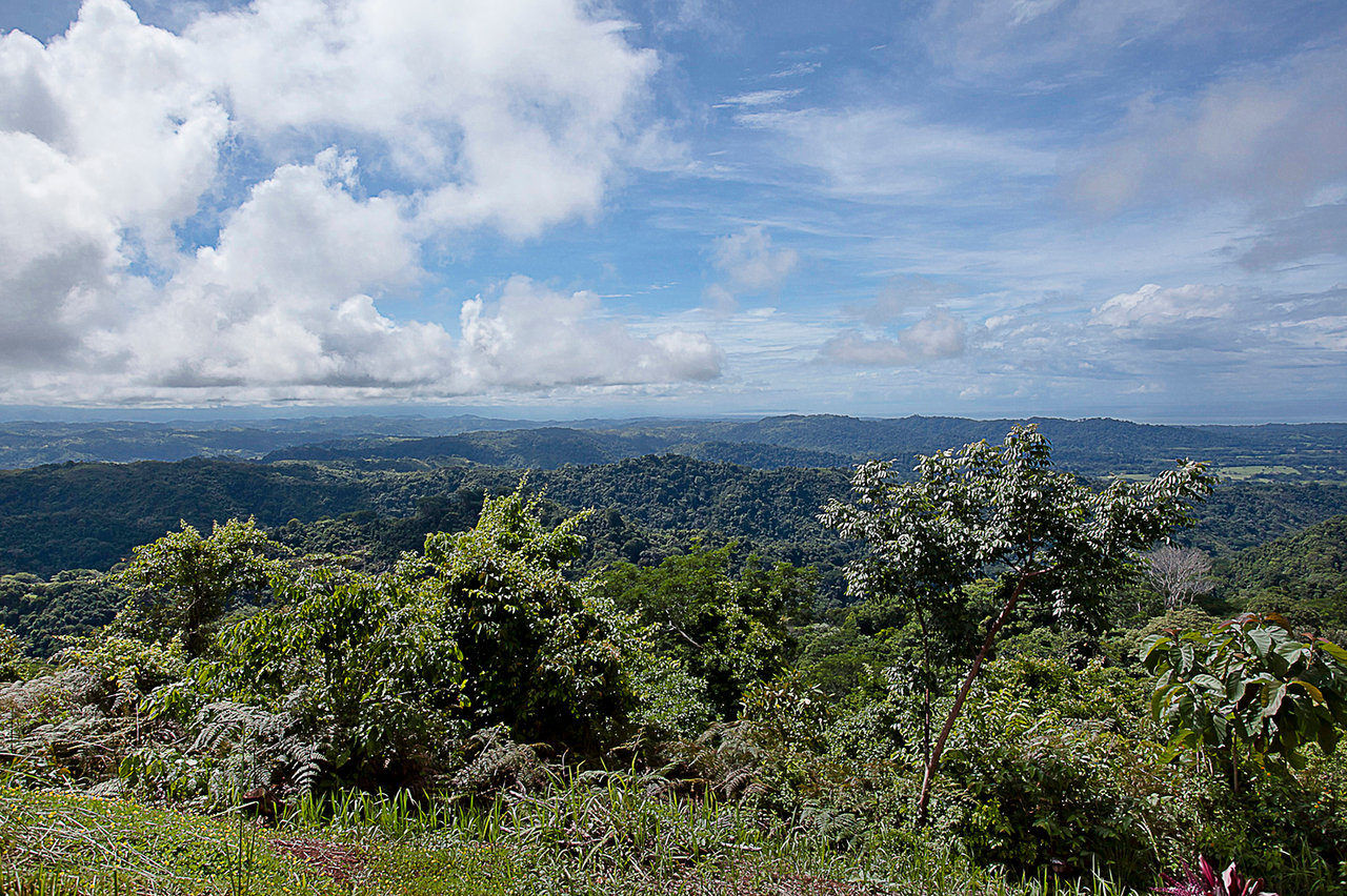 Private Ocean View Development Farm, Jaco, Puntarenas