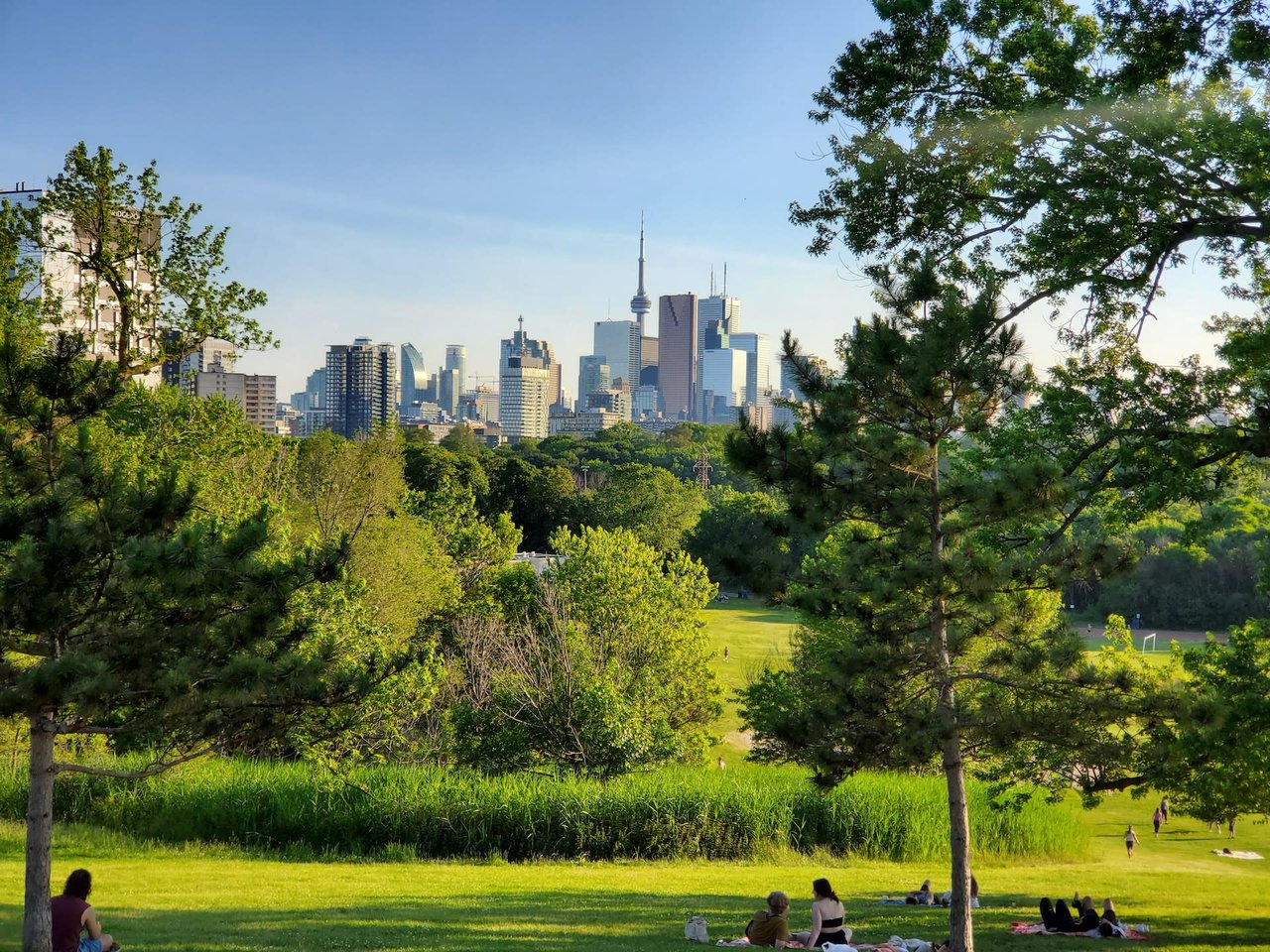 Top 10 Places to Visit in the Riverdale Area