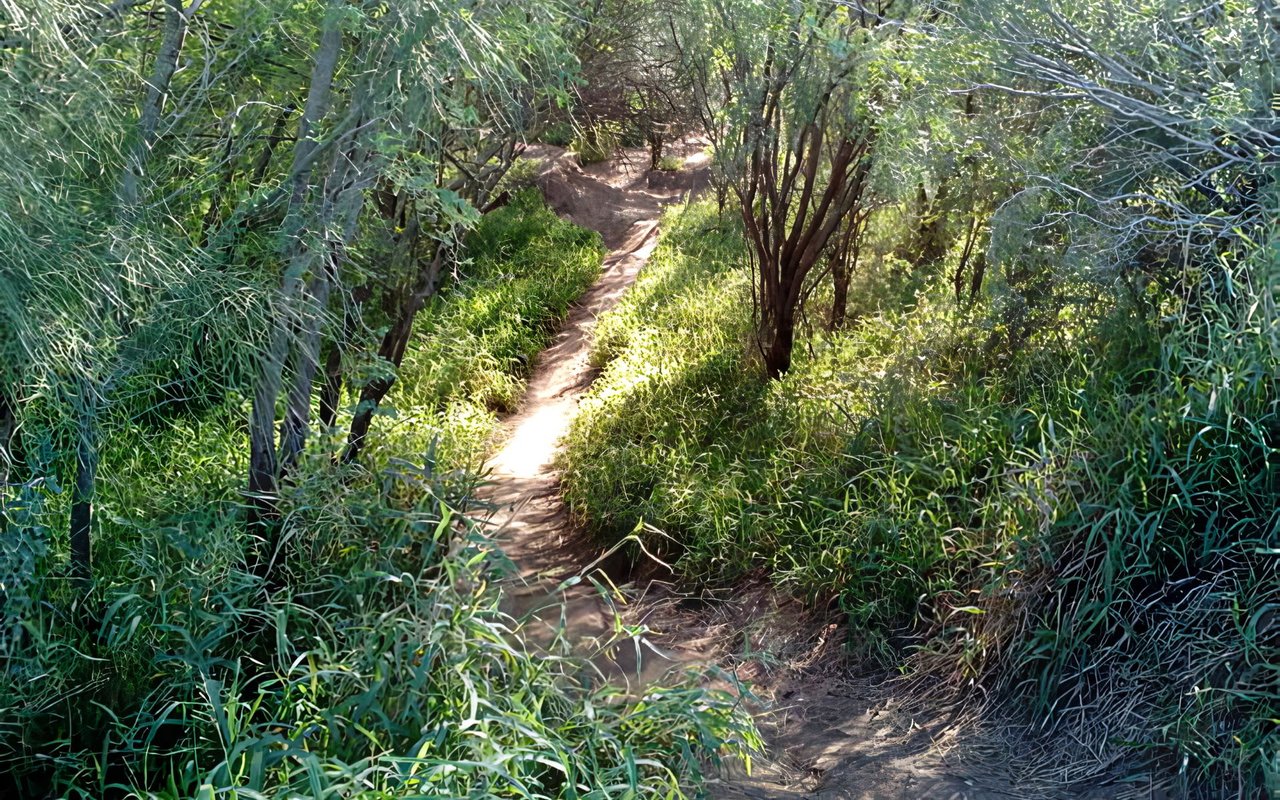 The Best Hiking Trails in Austin