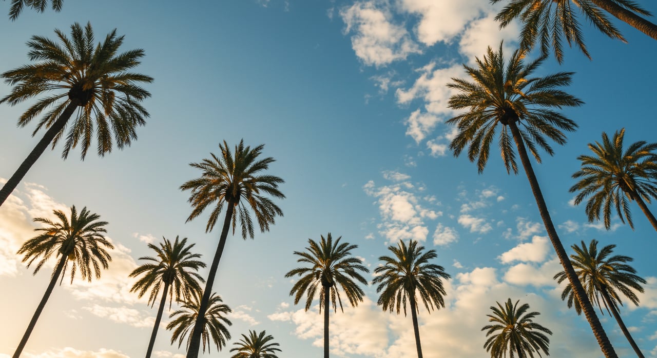 5 PACKED DAYS IN LOS ANGELES: JOJO’S GUIDE TO TAKING HER BEST FRIENDS AROUND LA