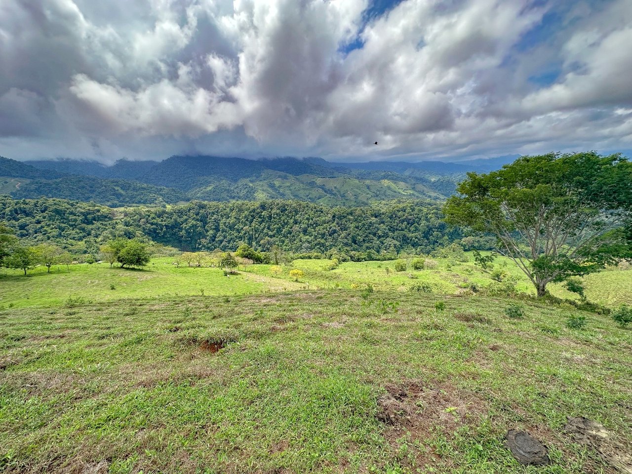 Waterfall Eco Resort Land, Dominical, Puntarenas