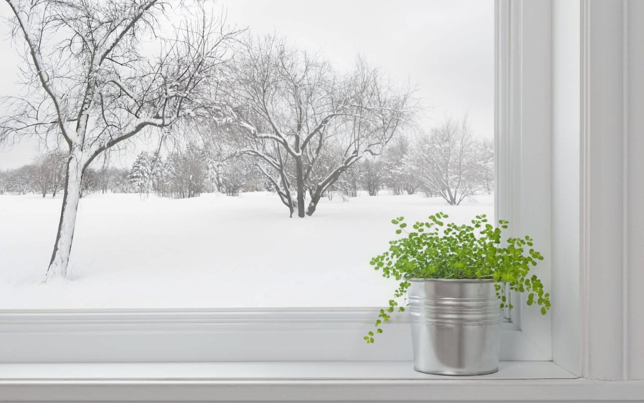 6 Tips to Clean Your Windows Like a Pro