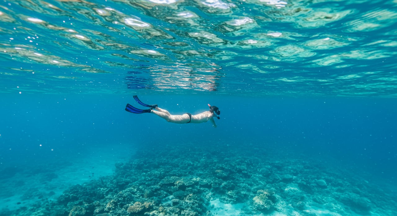 Things to Do Mauna Lani: A Guide to the Best Local Activities