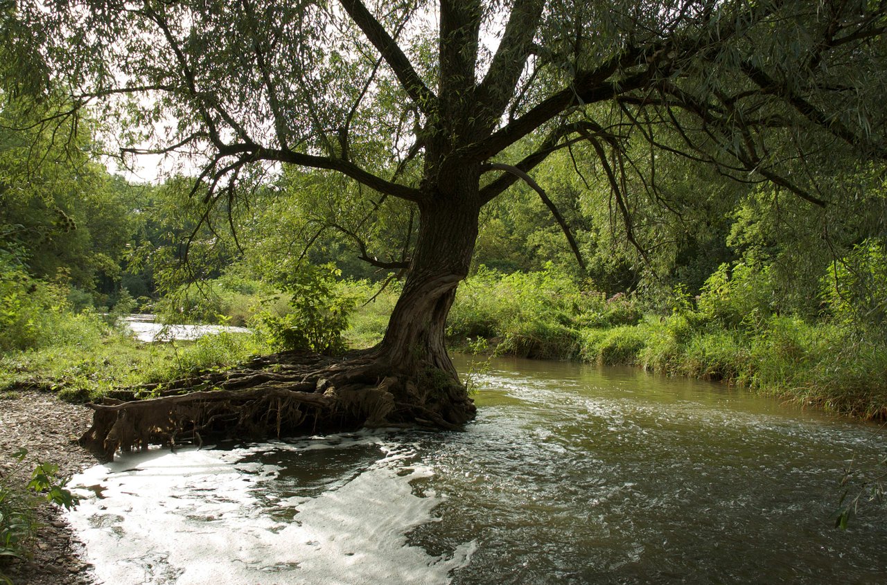 Bronte Creek