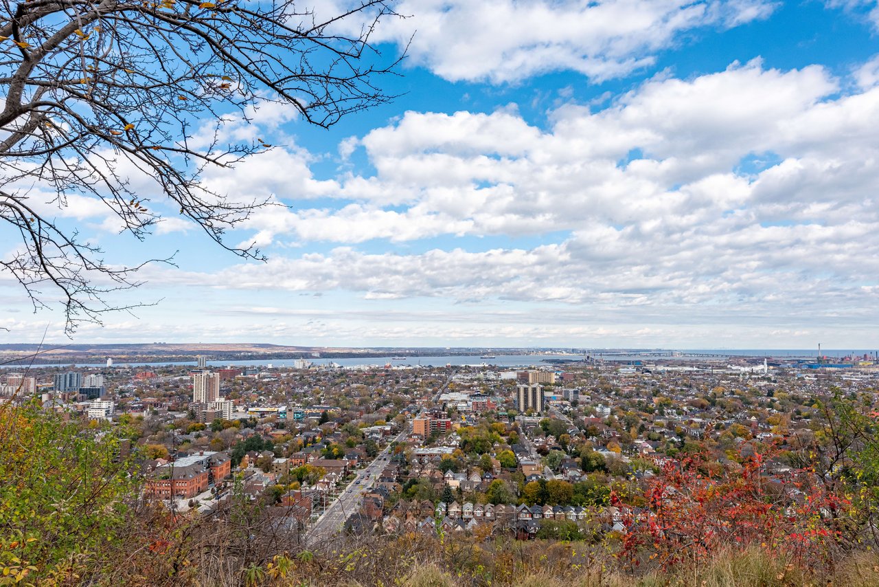 Panoramic Views from Hamilton Brow