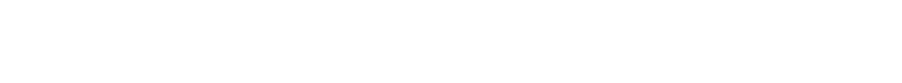 Light Logo