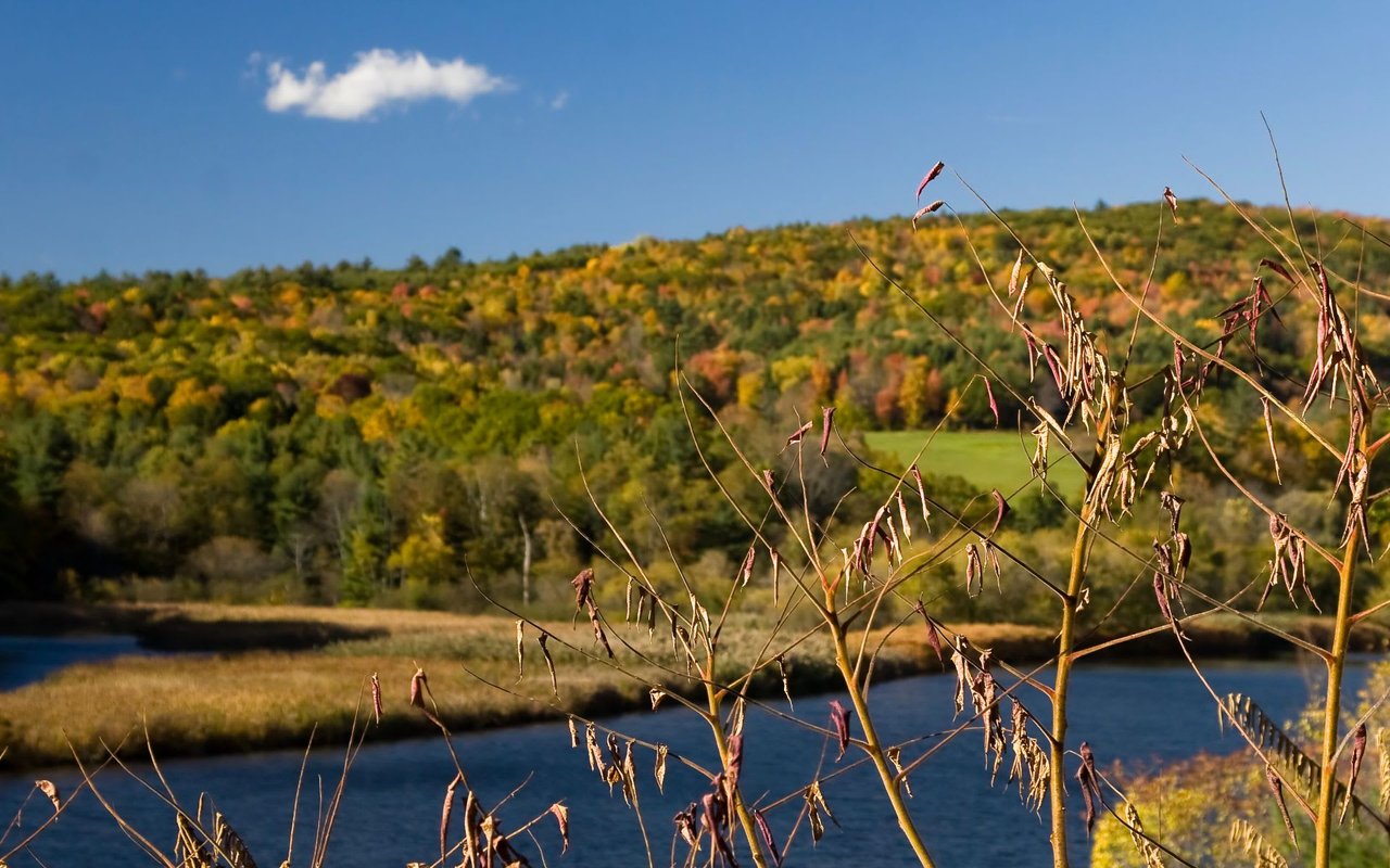 Embracing Outdoors: Active Lifestyles in St. Albans