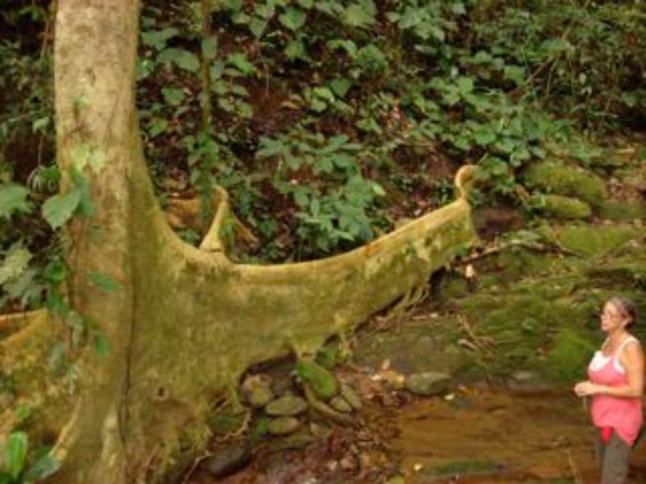 Ocean View Waterfall Land, Dominical, Puntarenas